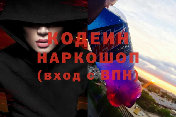 прущие грибы Кинешма