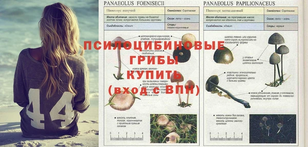 a pvp Киренск
