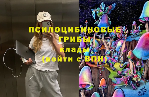 прущие грибы Кинешма