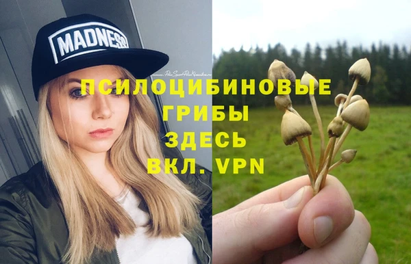 a pvp Киренск