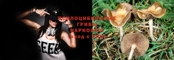 прущие грибы Кинешма