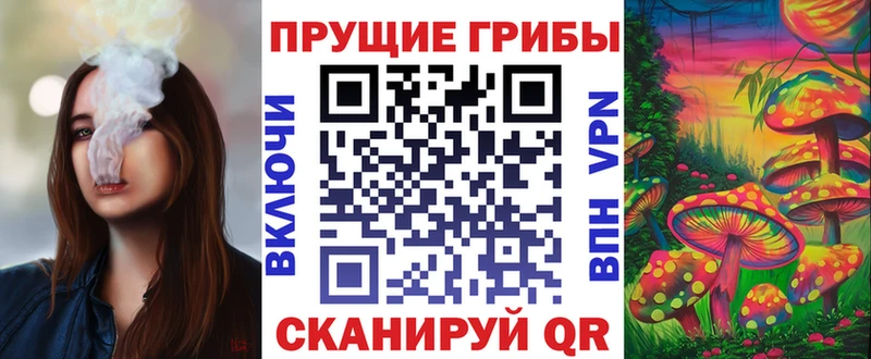 Галлюциногенные грибы Cubensis  сайты даркнета официальный сайт  Моршанск 
